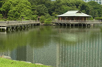 浜離宮恩賜庭園写真