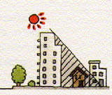 イラスト：形態